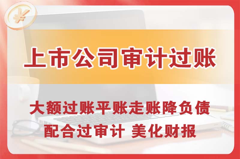 苏家屯上市公司审计过账