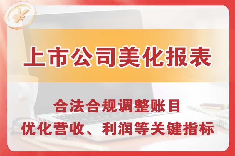 苏家屯上市公司美化报表